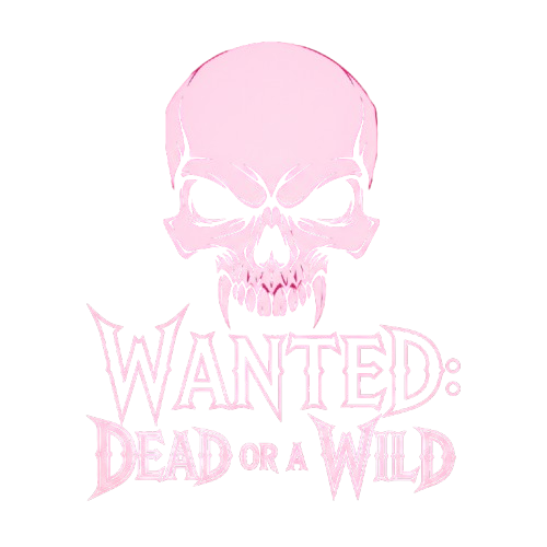 🔹 Wanted Dead or a Wild 